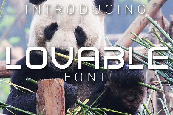 Lovable Display Typeface: A Review for Small Business Branding
